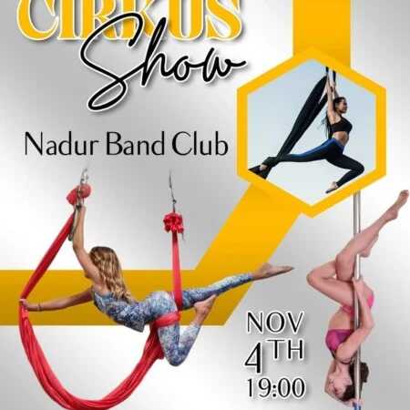 Aerial Cirkus