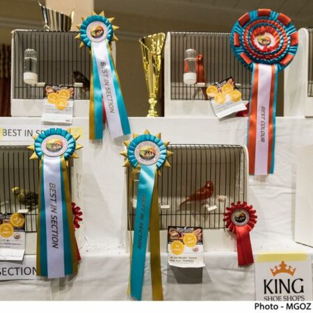 Bird Breeders Society Annual Show 2023