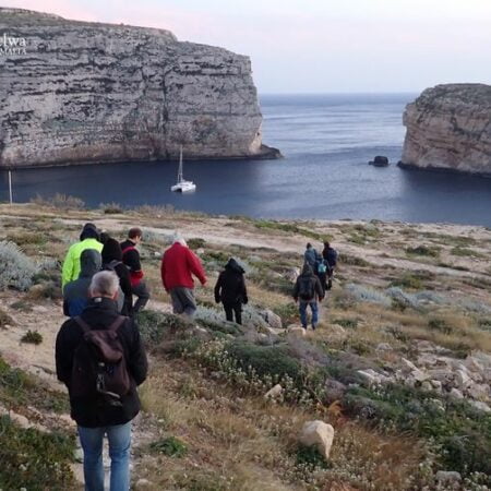 Summer shearwater event at Dwejra Tower