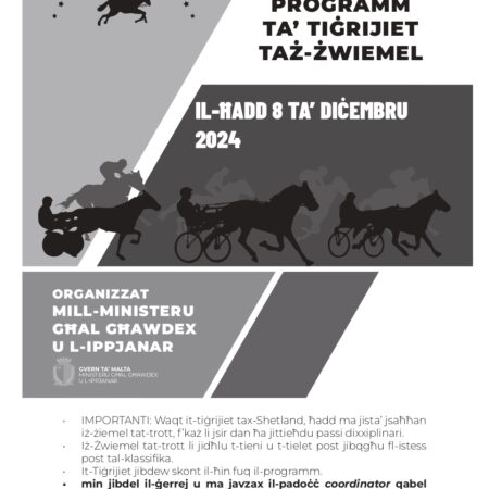 Programm Ta’ Tiġrijiet Taż-Żwiemel