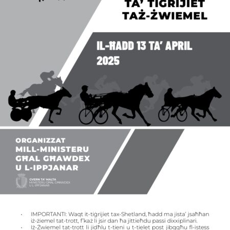 Horse Racing