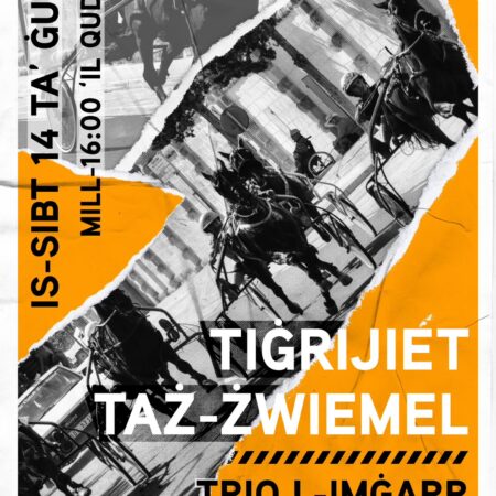 Tiġrijiet Taż-Żwiemel