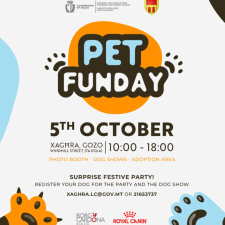 Pet FunDay