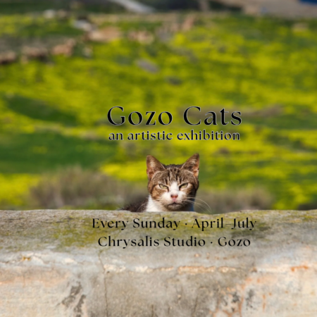 Gozo Cats: Artistic Exhibition